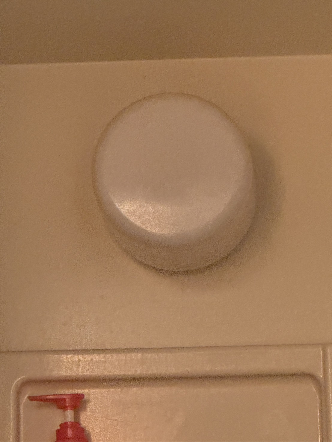 テスト投稿です